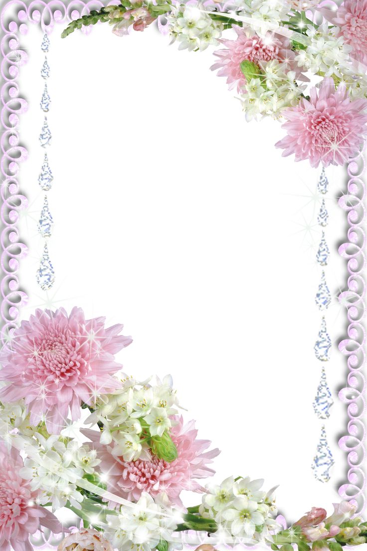 Detail Real Flower Frame Nomer 15