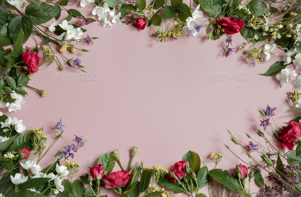 Detail Real Flower Frame Nomer 22