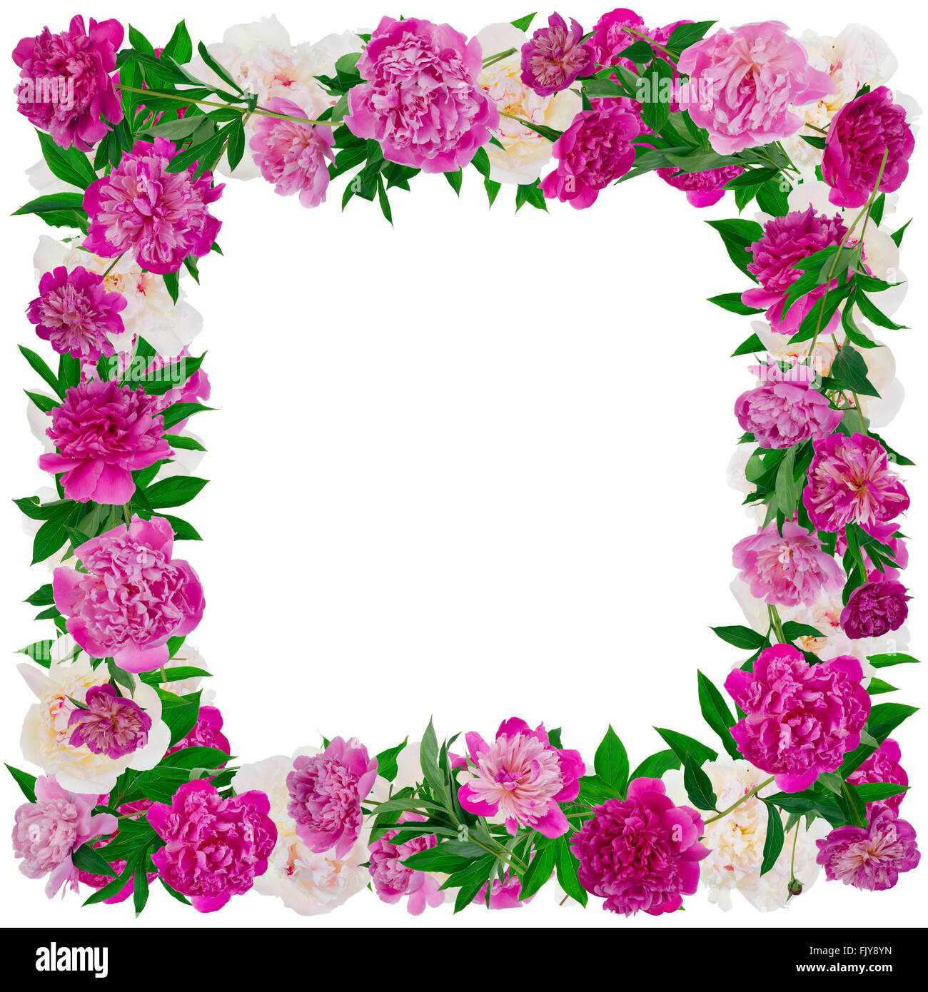 Detail Real Flower Frame Nomer 4