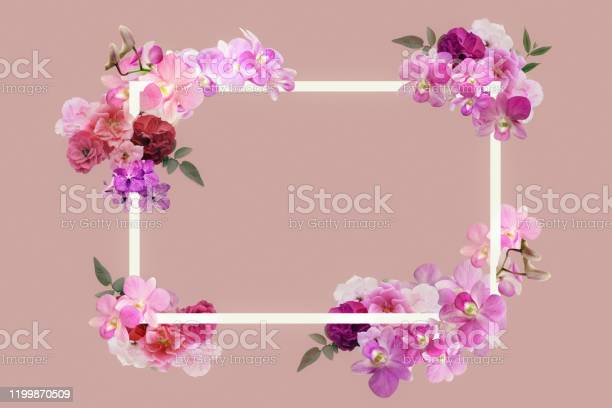 Detail Real Flower Frame Nomer 10