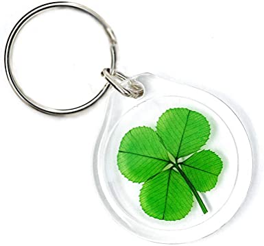 Detail Real Four Leaf Clover Keychain Nomer 2