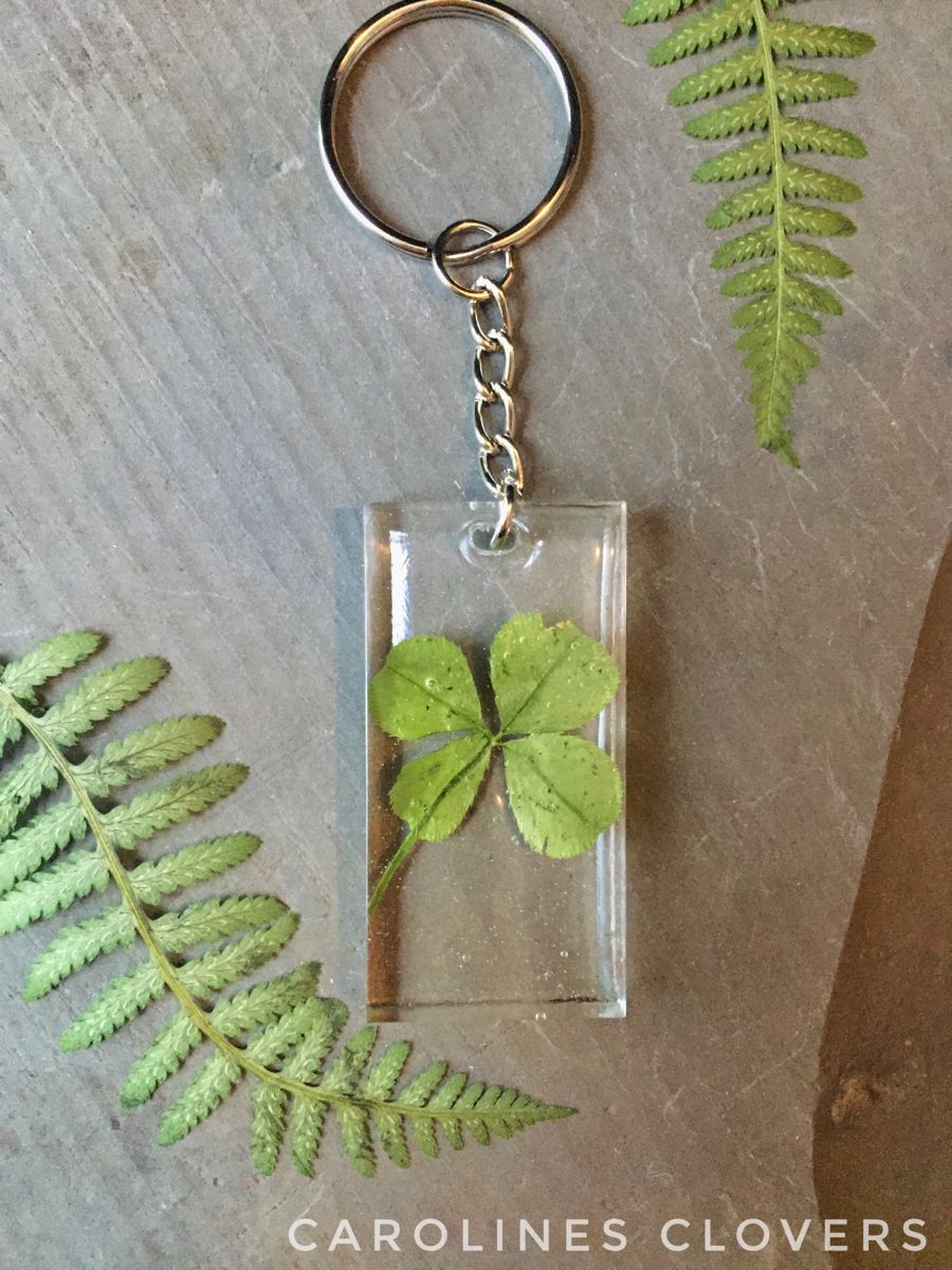 Detail Real Four Leaf Clover Keychain Nomer 5