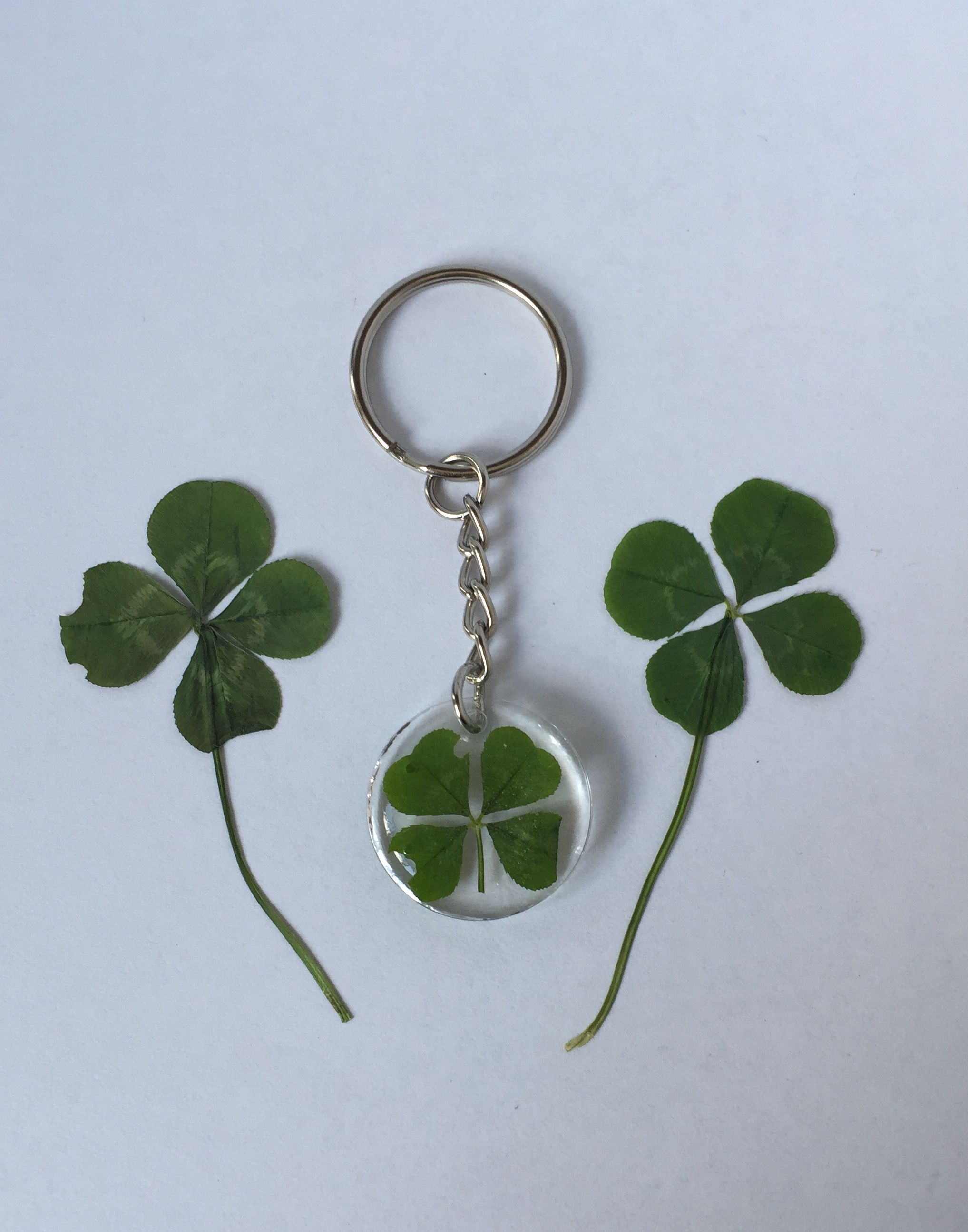 Detail Real Four Leaf Clover Keychain Nomer 43