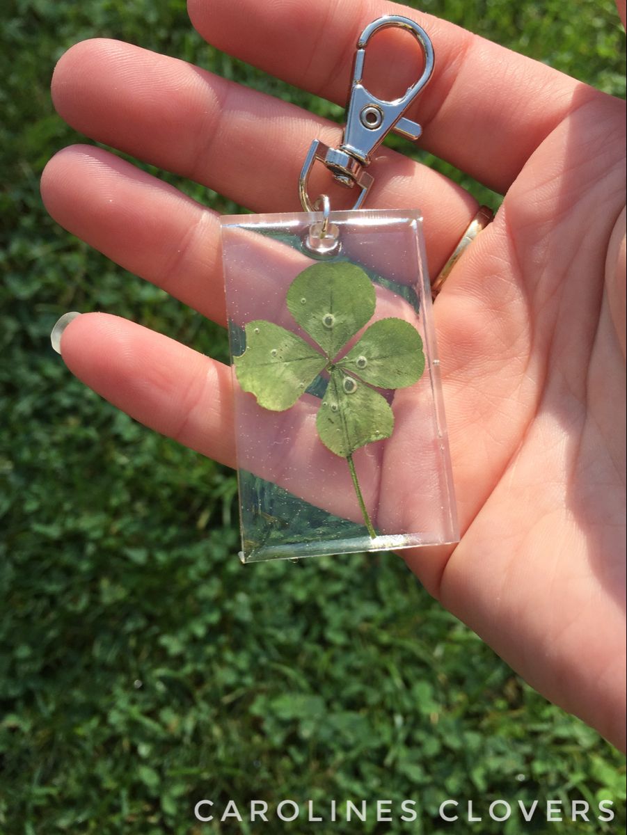 Detail Real Four Leaf Clover Keychain Nomer 49