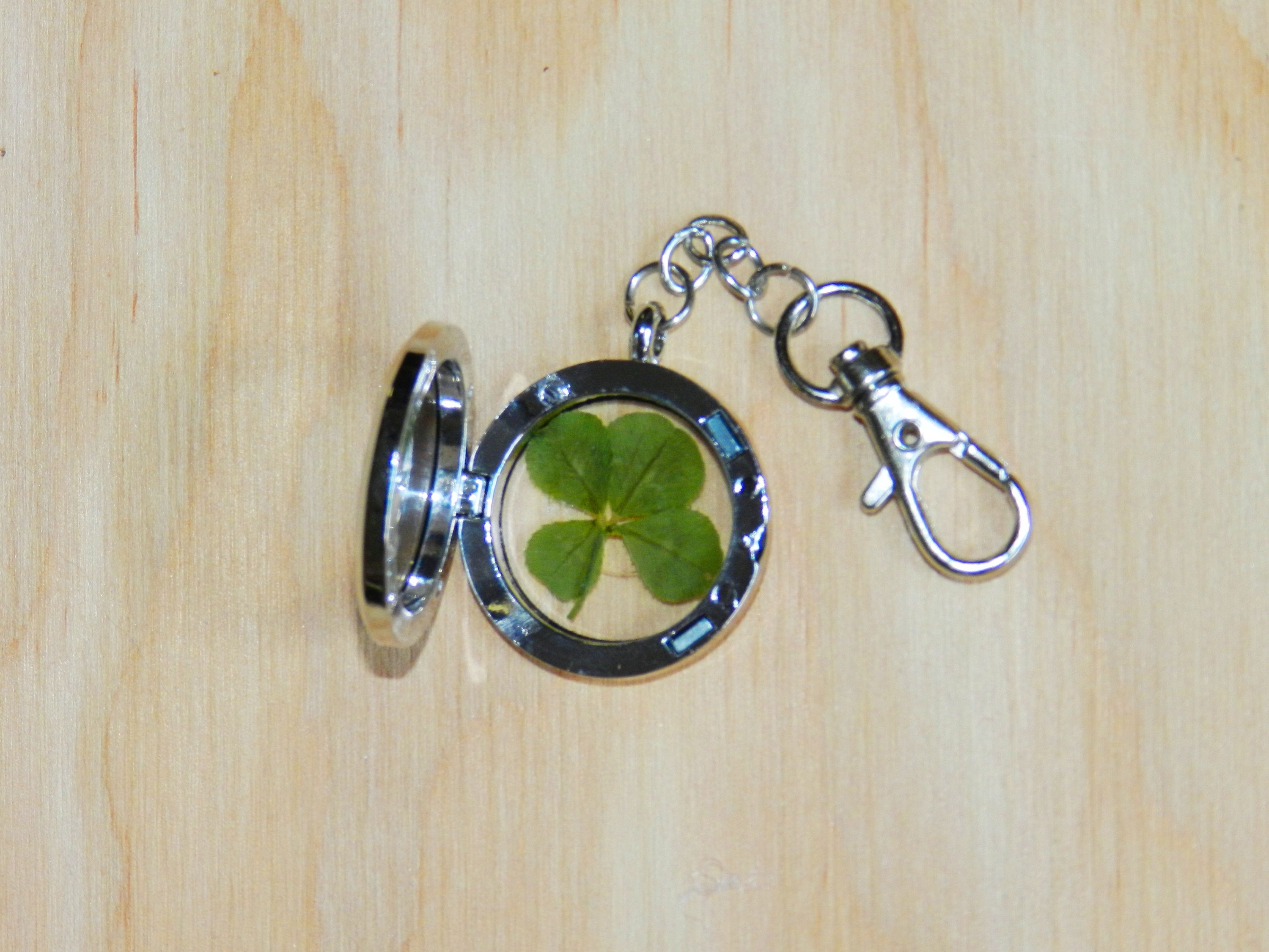 Detail Real Four Leaf Clover Keychain Nomer 50