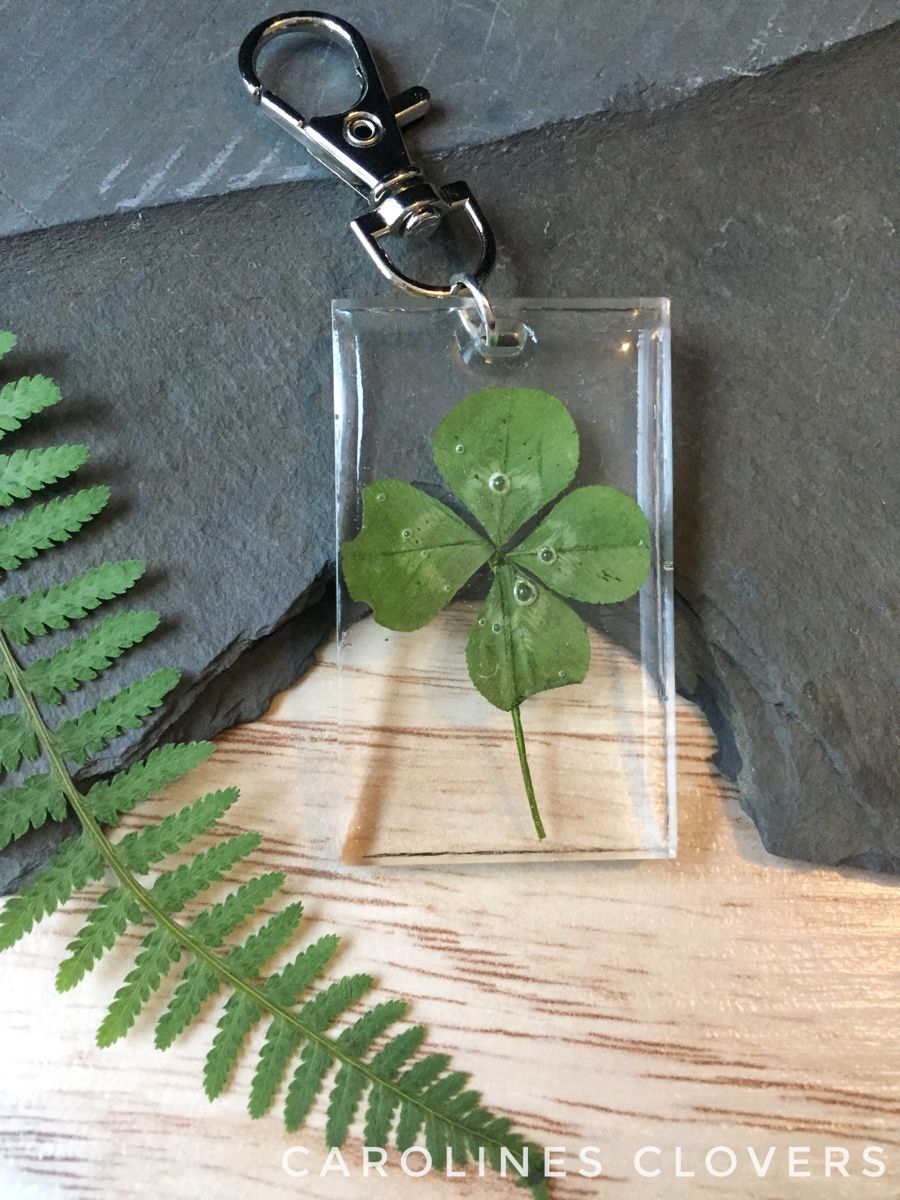 Detail Real Four Leaf Clover Keychain Nomer 10