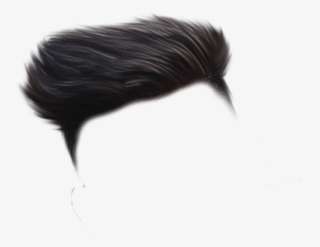 Detail Real Hair Png Nomer 24