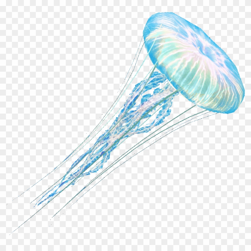 Detail Real Jellyfish Png Nomer 26