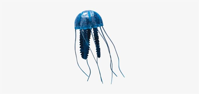 Detail Real Jellyfish Png Nomer 27