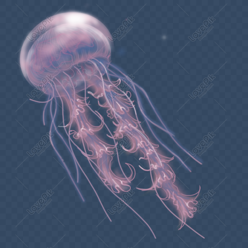 Detail Real Jellyfish Png Nomer 28