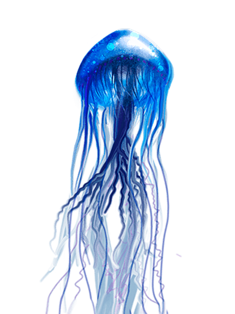 Detail Real Jellyfish Png Nomer 34