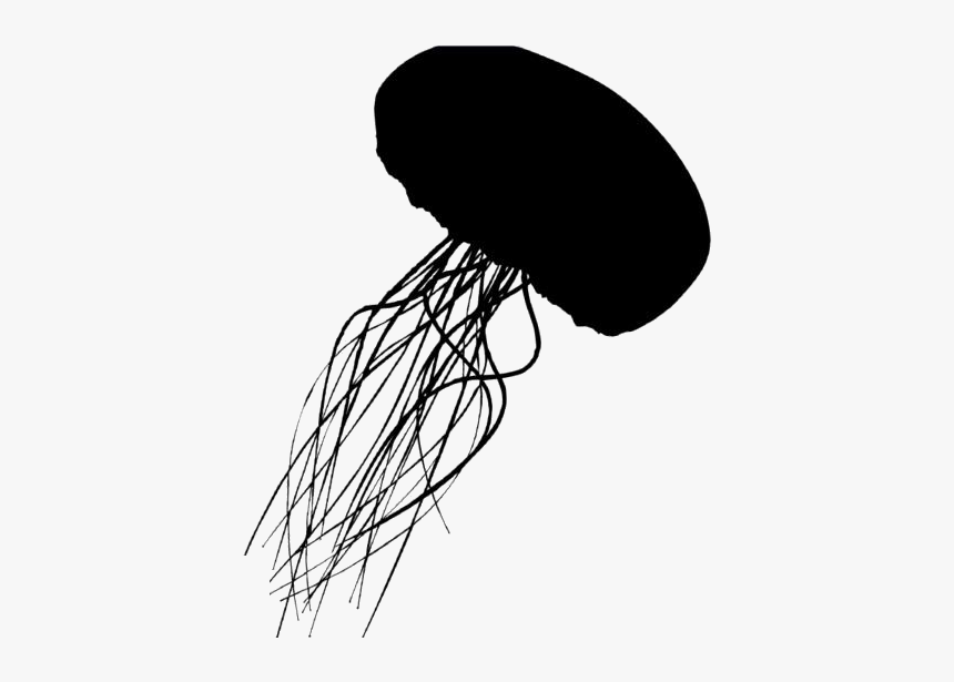 Detail Real Jellyfish Png Nomer 36