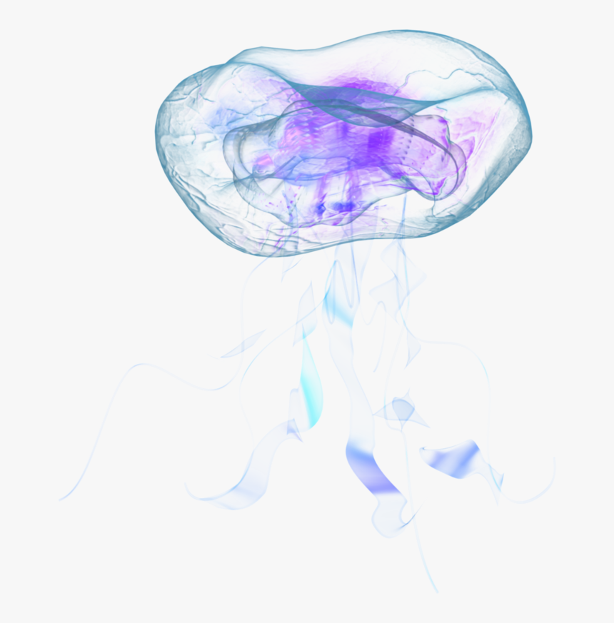 Detail Real Jellyfish Png Nomer 5