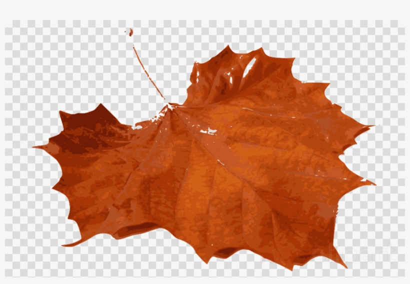 Detail Real Leaf Png Nomer 47