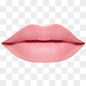 Detail Real Lips Png Nomer 40