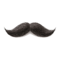 Detail Real Moustache Png Nomer 10