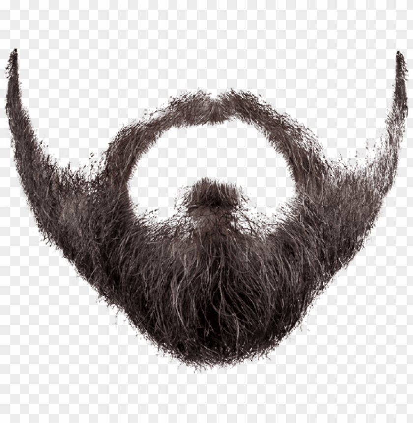 Detail Real Moustache Png Nomer 16