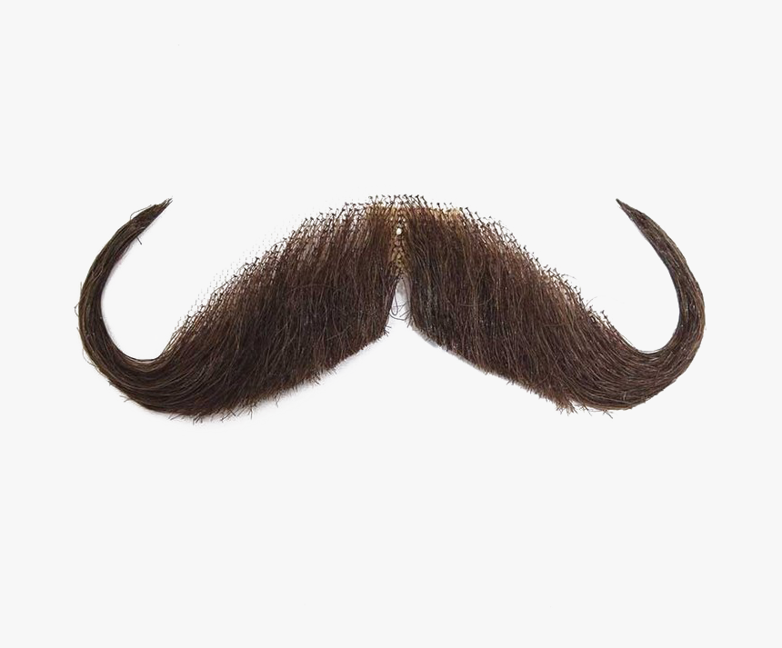 Detail Real Moustache Png Nomer 5