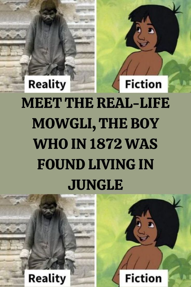 Detail Real Mowgli Pictures Nomer 50