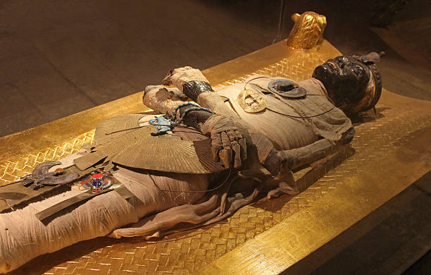 Detail Real Mummy Pictures Nomer 11