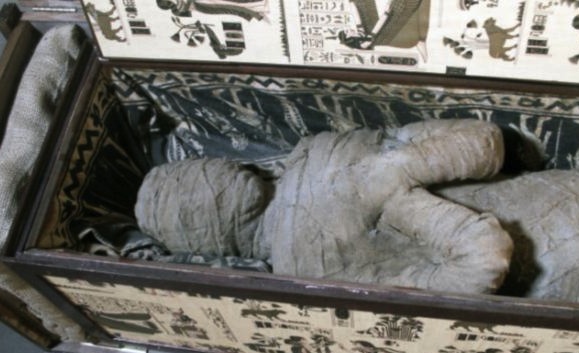 Detail Real Mummy Pictures Nomer 22