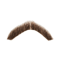 Detail Real Mustache Png Nomer 14