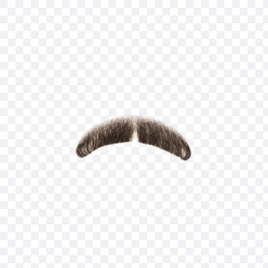 Detail Real Mustache Png Nomer 18