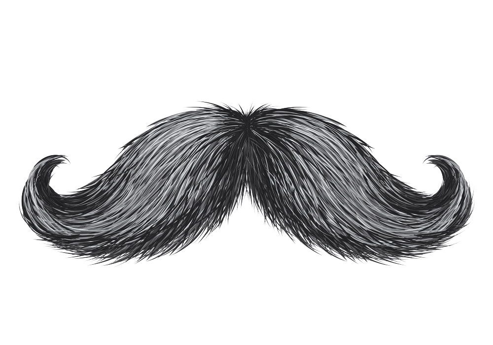 Detail Real Mustache Png Nomer 4