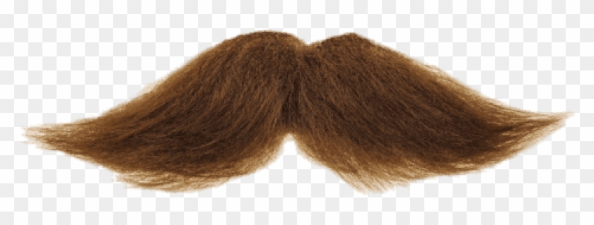 Detail Real Mustache Png Nomer 29
