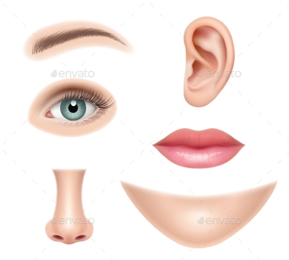 Detail Real Nose Nomer 9