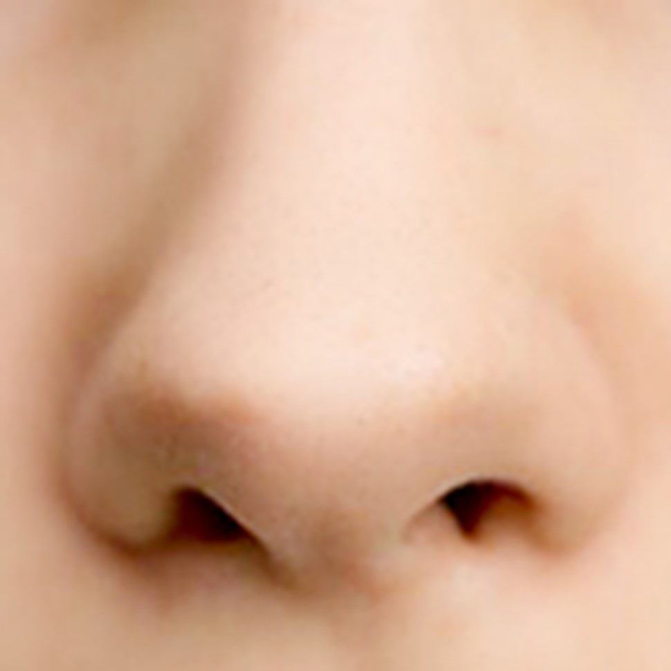 Detail Real Nose Nomer 13