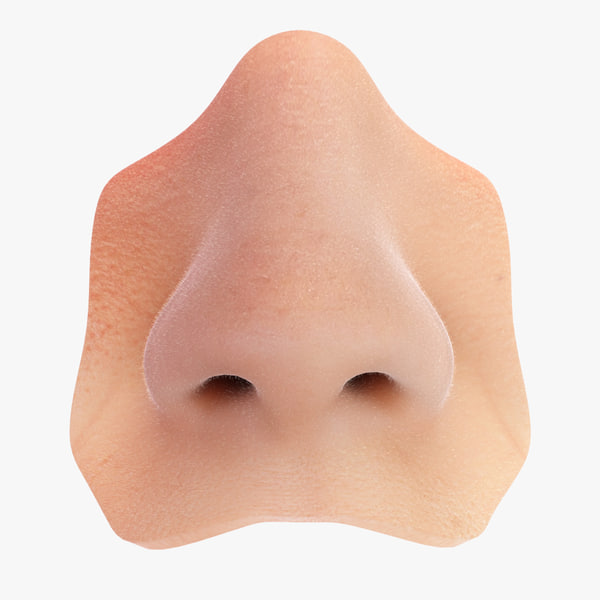 Detail Real Nose Nomer 17