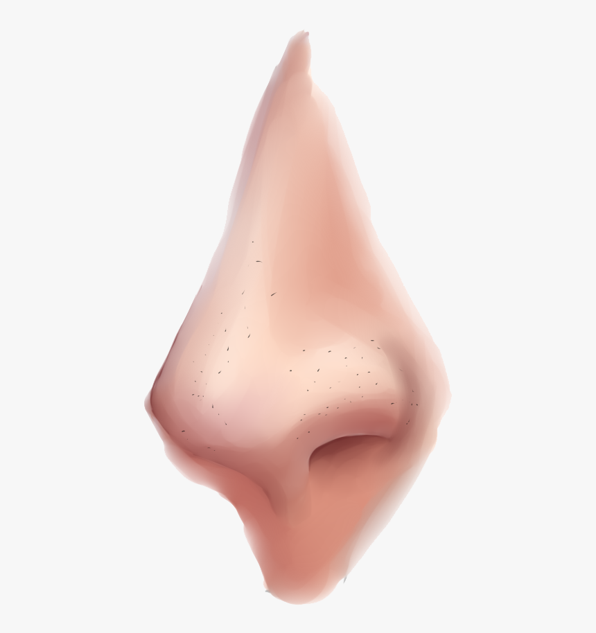 Detail Real Nose Nomer 19