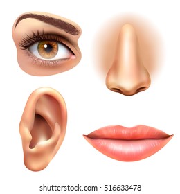 Detail Real Nose Nomer 44
