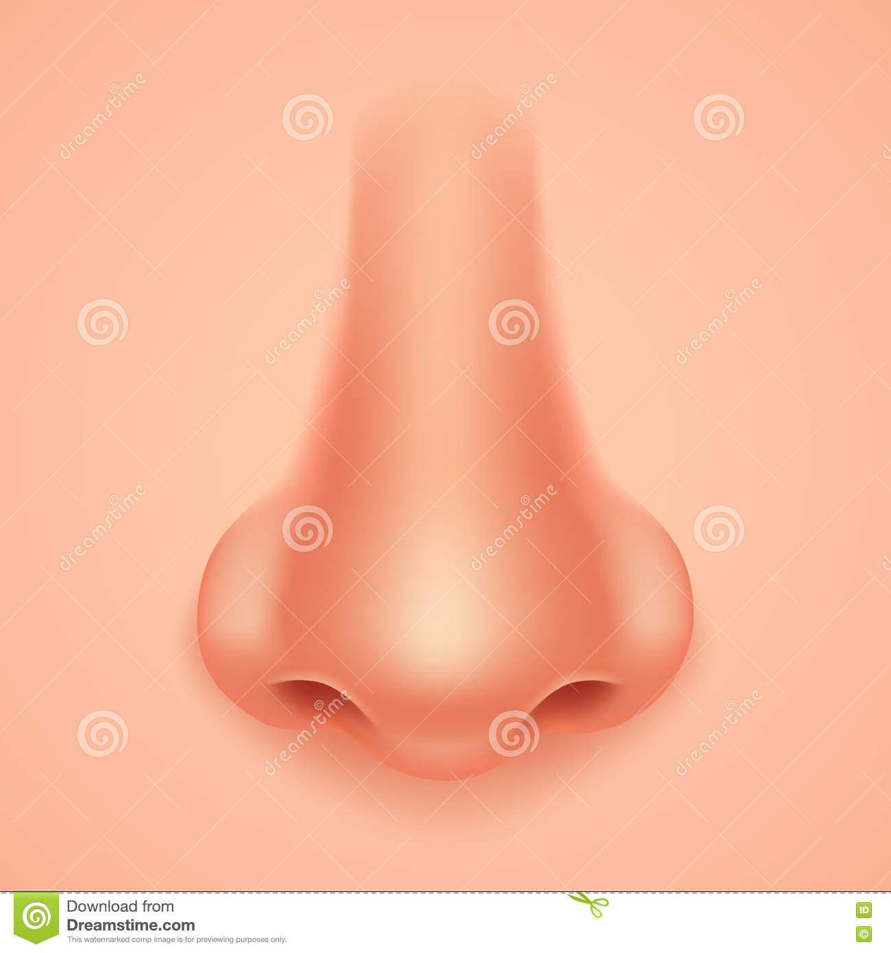 Detail Real Nose Nomer 45
