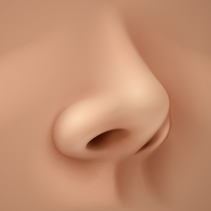 Detail Real Nose Nomer 6