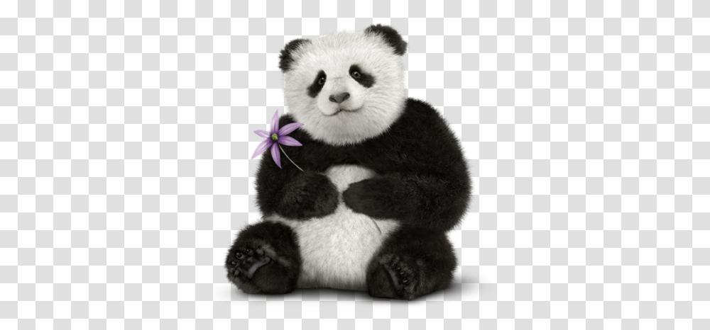 Detail Real Panda Background Nomer 24