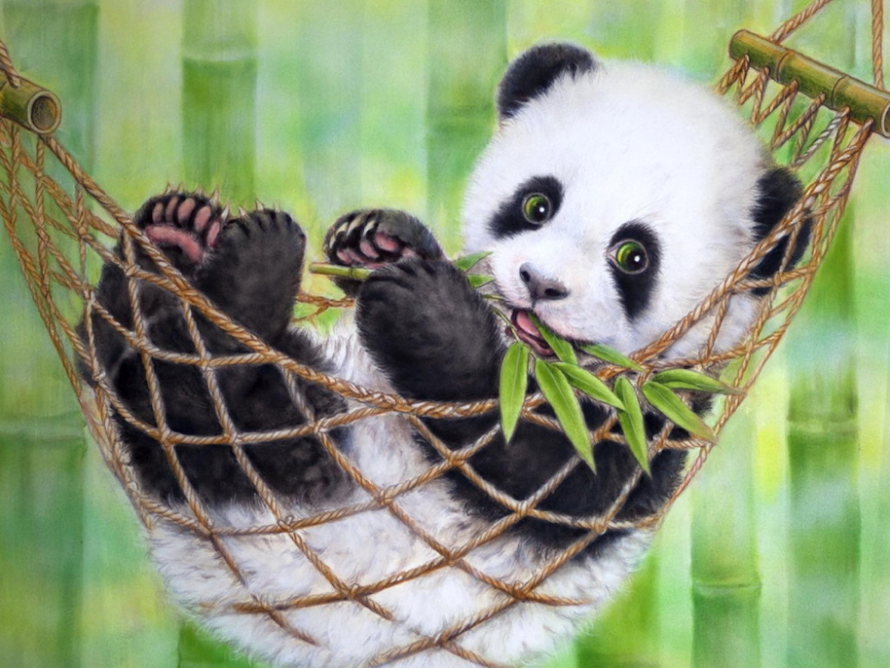 Detail Real Panda Background Nomer 9