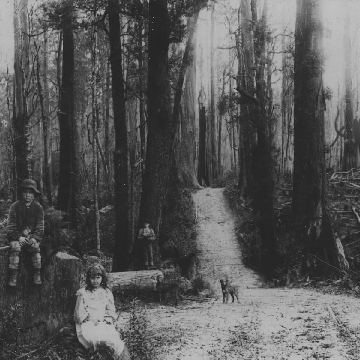 Detail Real Slender Man Game Nomer 9
