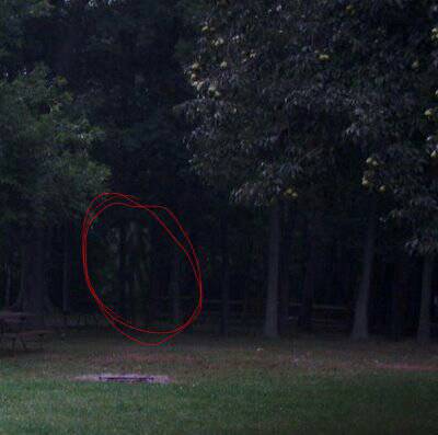 Detail Real Slenderman Photos Nomer 32