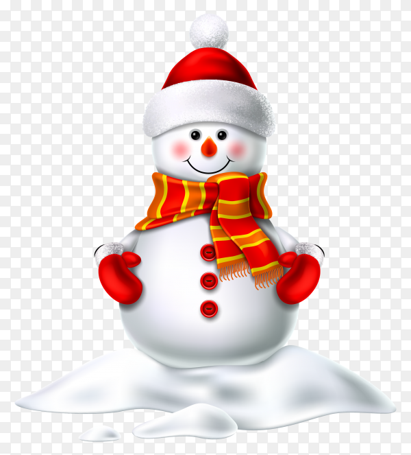 Detail Real Snowman Png Nomer 21