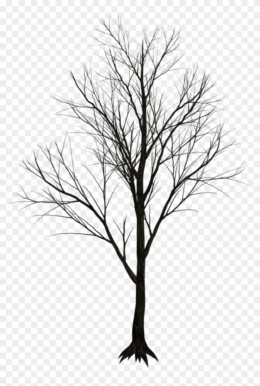 Detail Real Tree Png Nomer 45