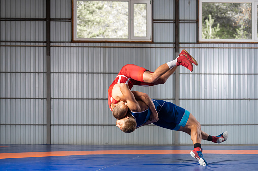 Detail Real Wrestling Wallpapers Nomer 21