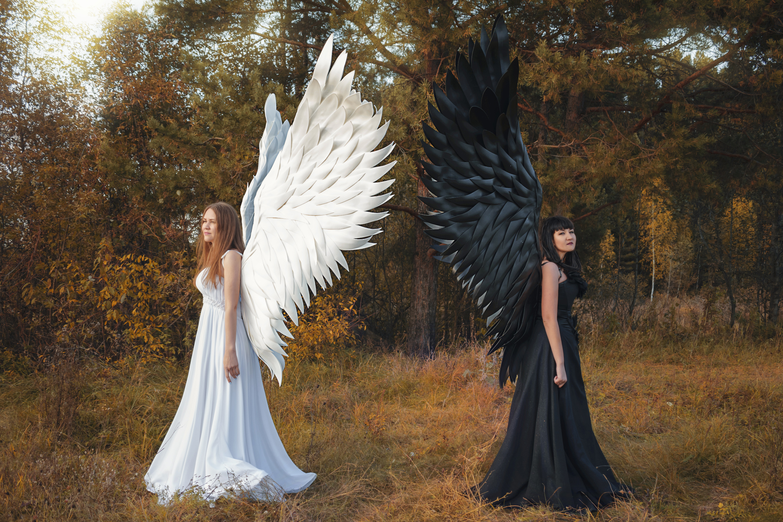 Detail Realistic Angel Wings For Sale Nomer 25