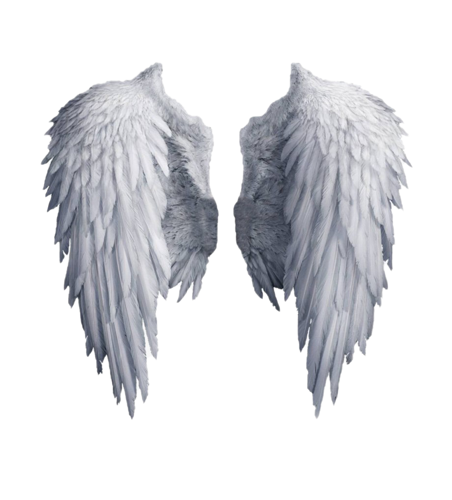 Realistic Angel Wings Png - KibrisPDR