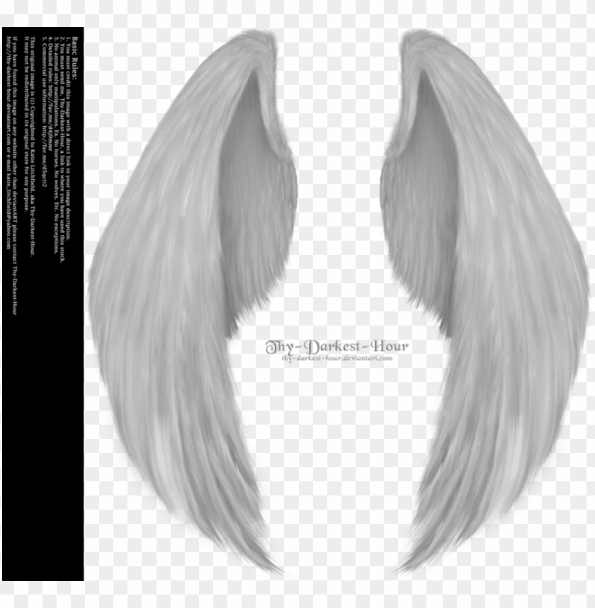 Detail Realistic Angel Wings Png Nomer 16