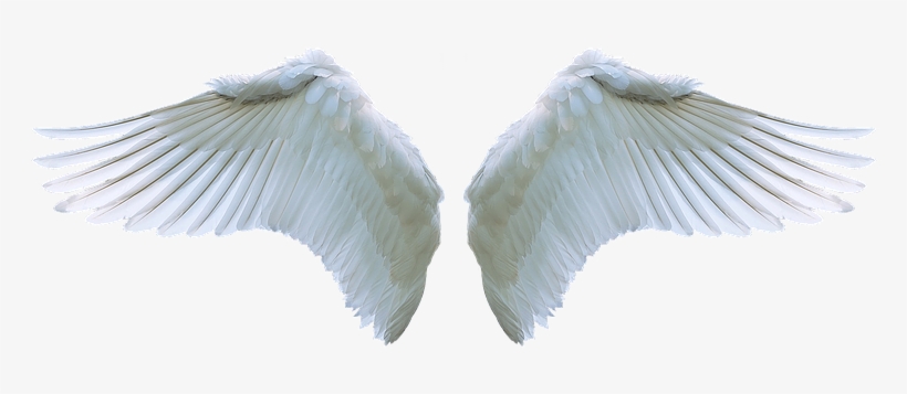 Detail Realistic Angel Wings Png Nomer 18