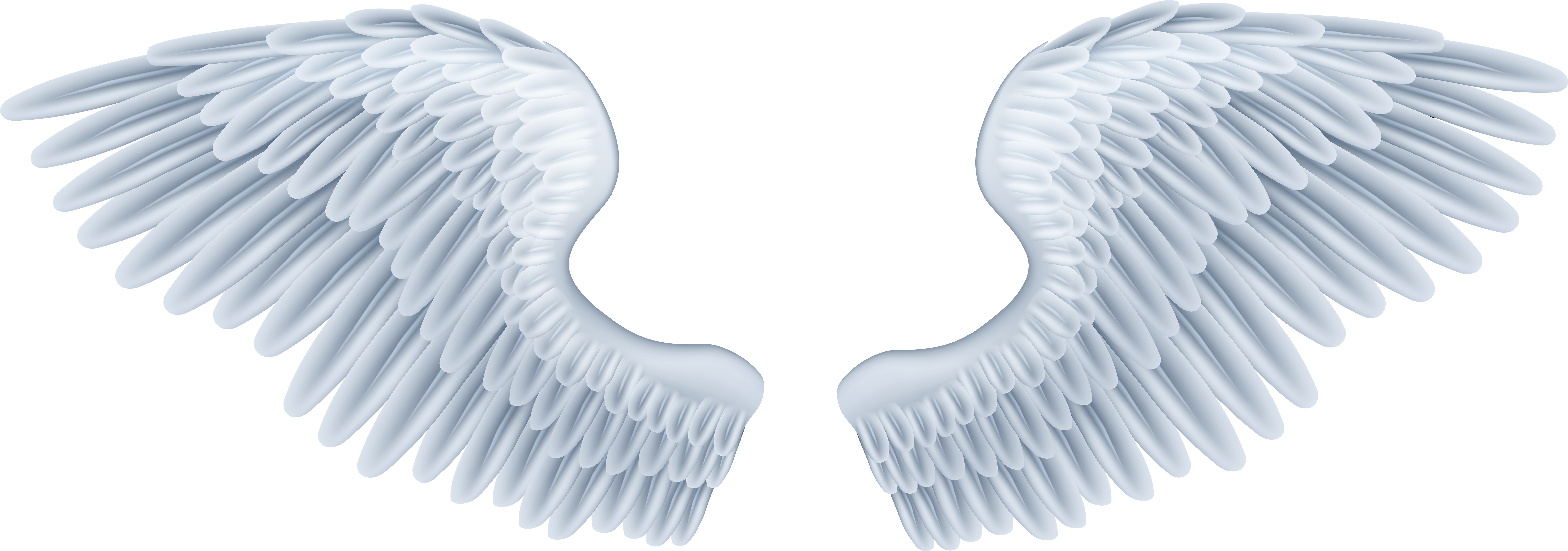 Detail Realistic Angel Wings Png Nomer 22