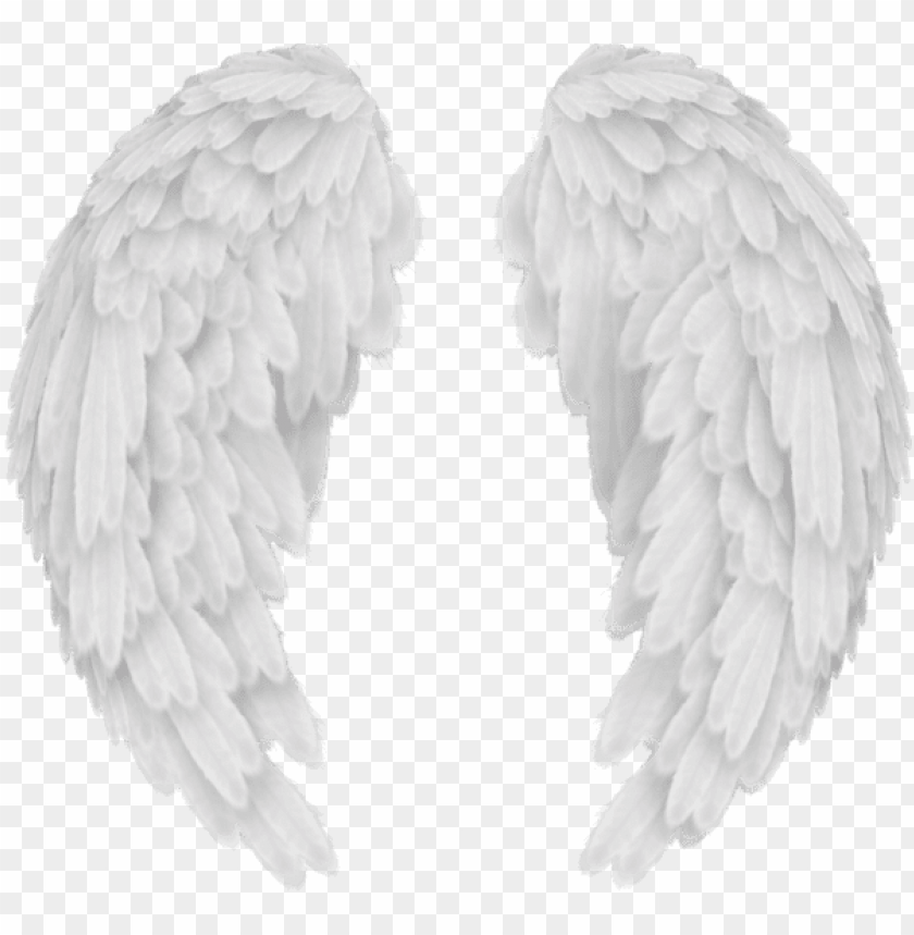 Detail Realistic Angel Wings Png Nomer 5