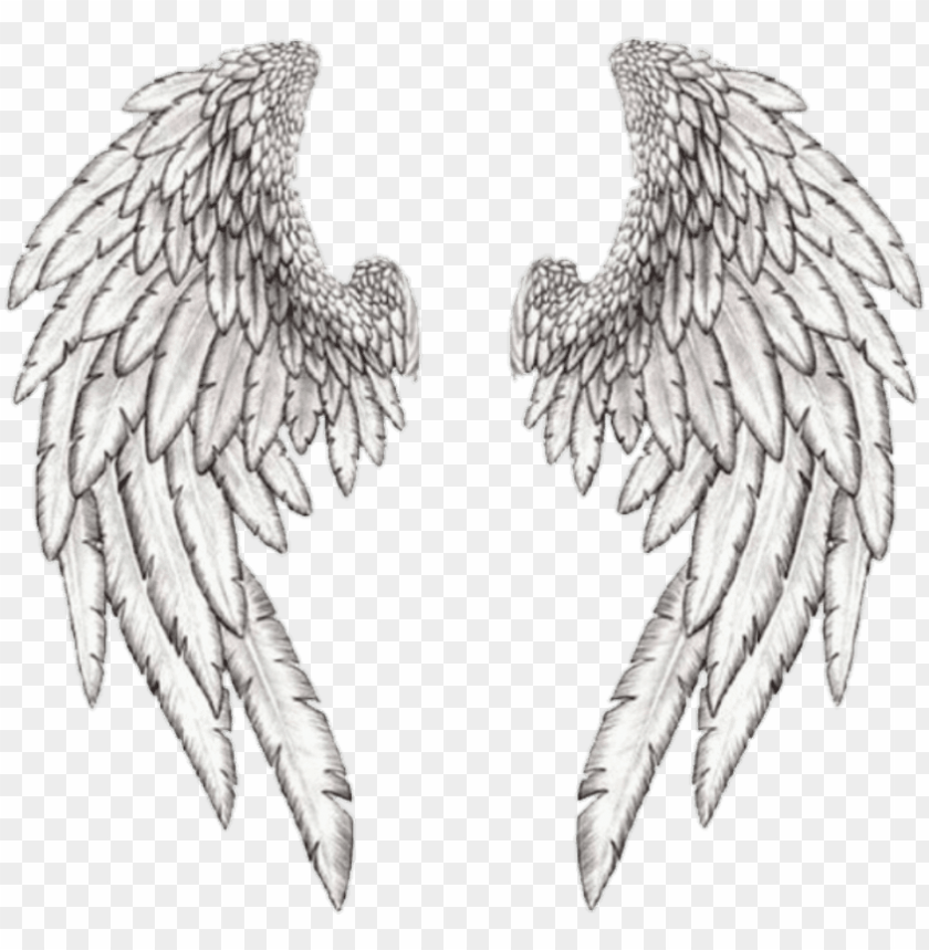 Detail Realistic Angel Wings Png Nomer 41